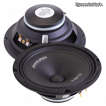 Dynamic State NEO NM-16 Midel, пара