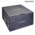 Dynamic State SKIF SKW-252 10"